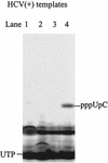 FIG. 9.