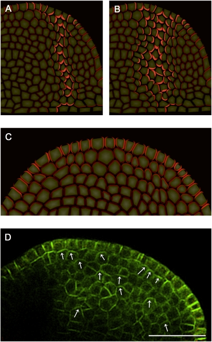 Figure 9.