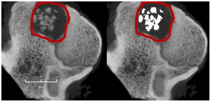 Figure 17