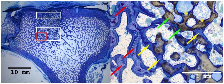 Figure 19