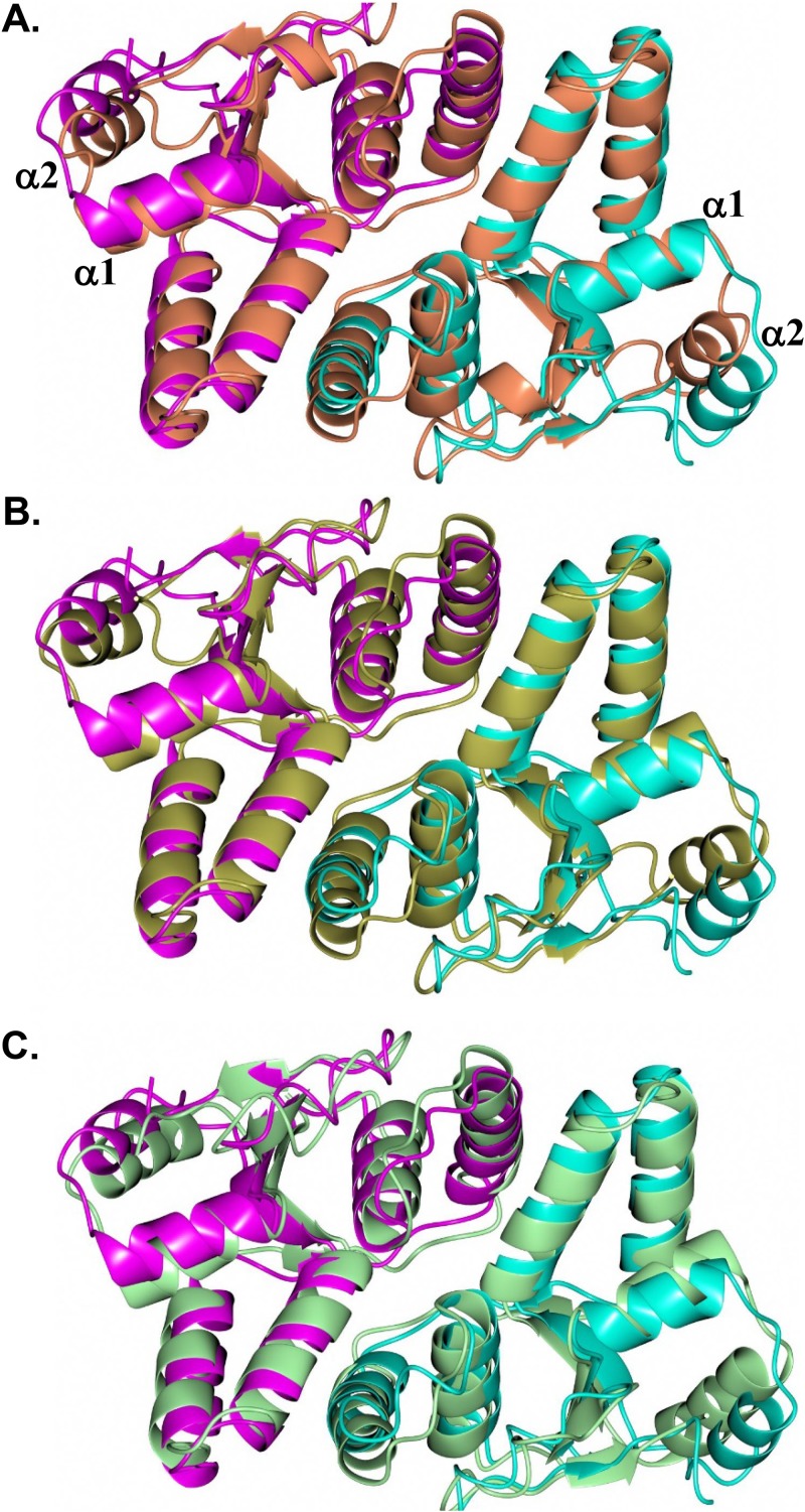 FIG 3