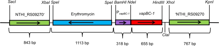 FIG 9