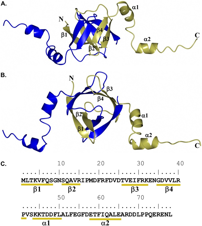 FIG 4