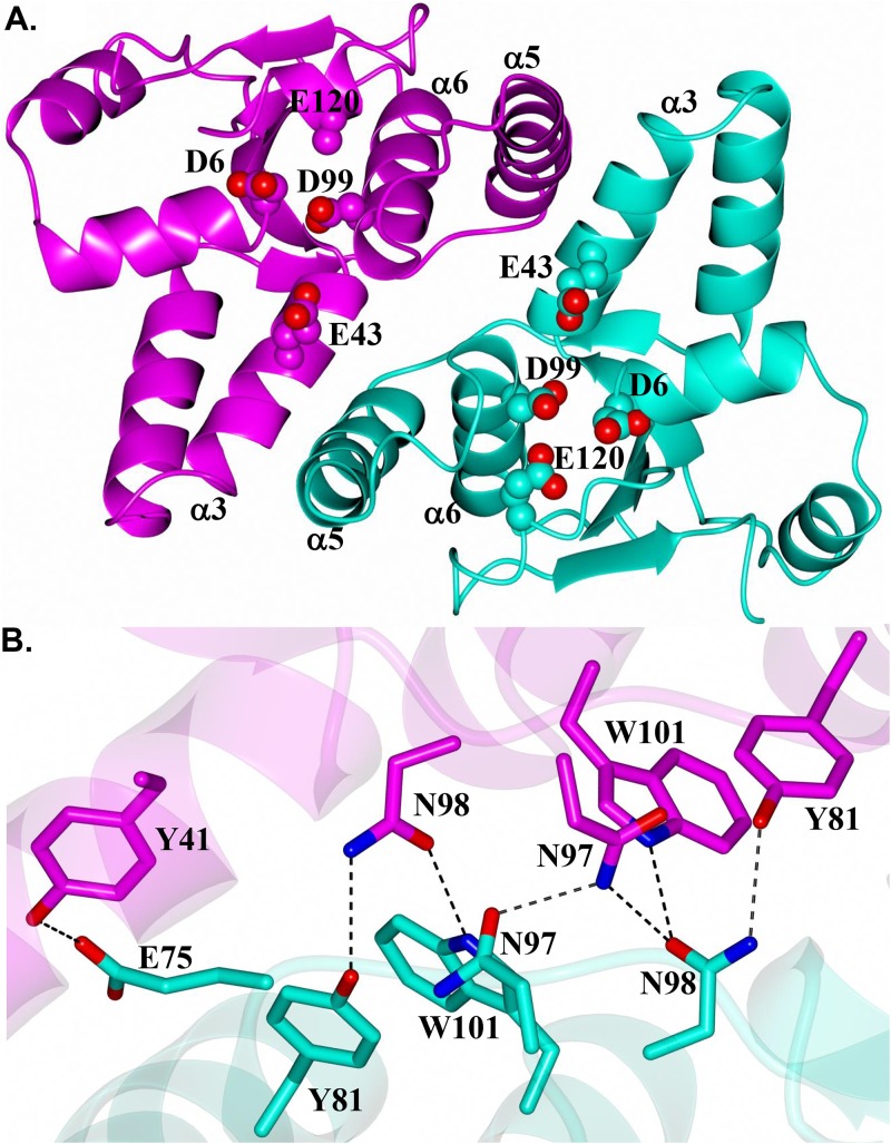 FIG 2