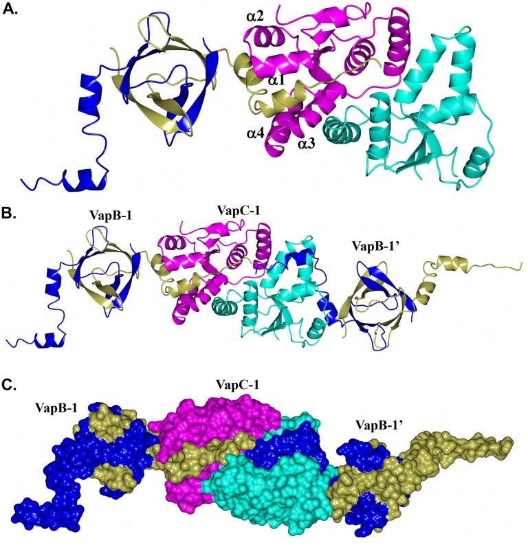 FIG 5