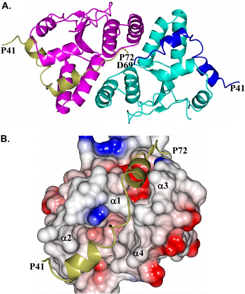 FIG 6