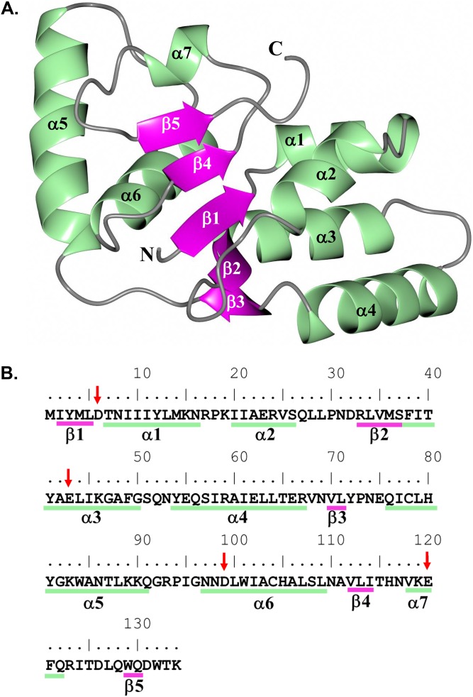 FIG 1