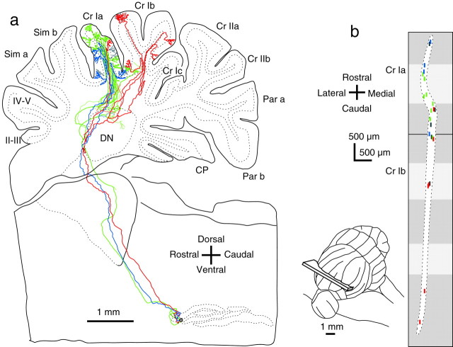 Fig. 4.