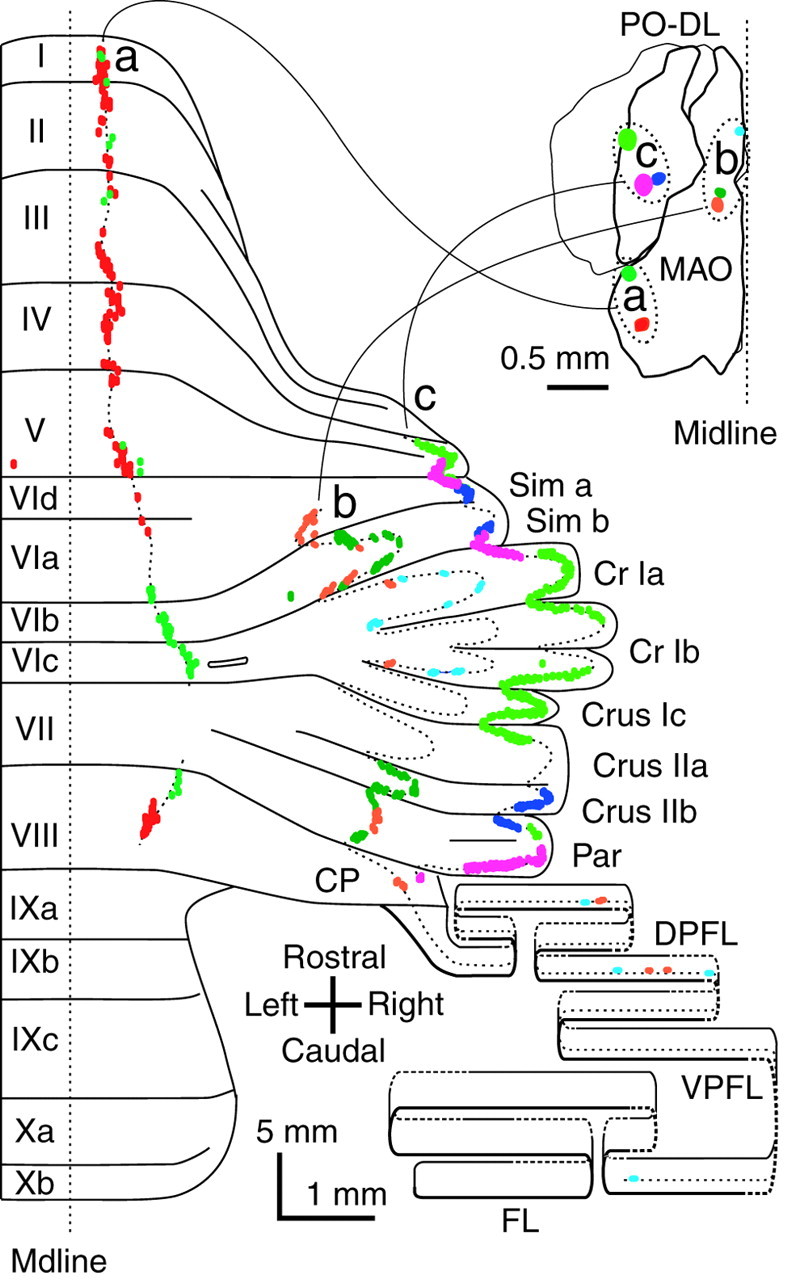 Fig. 5.