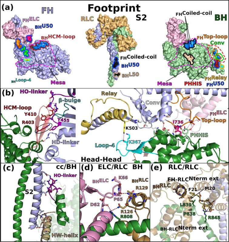 Figure 2 –