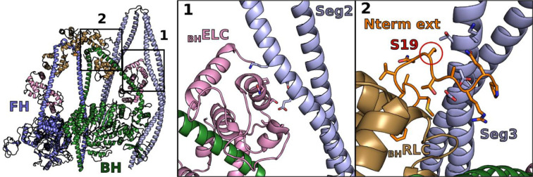 Extended data Figure 2 –