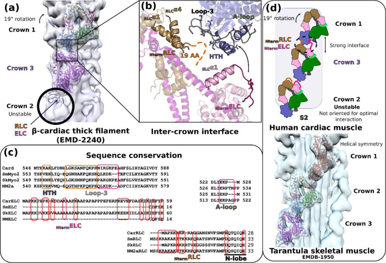 Figure 4 –