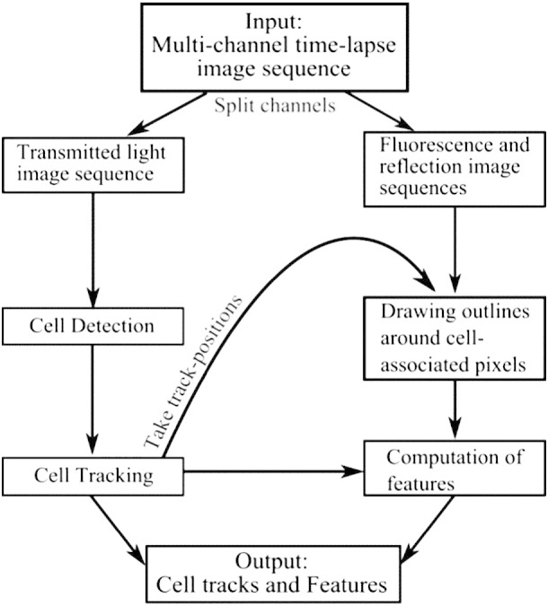 Fig. 1