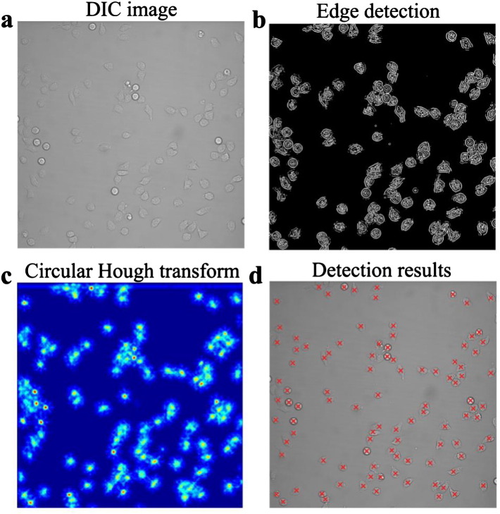 Fig. 2