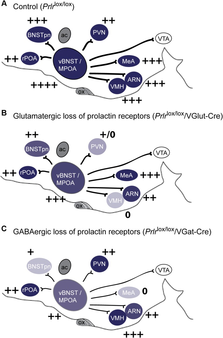 Fig. S3.