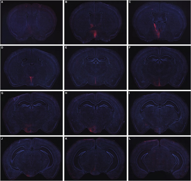 Fig. S2.