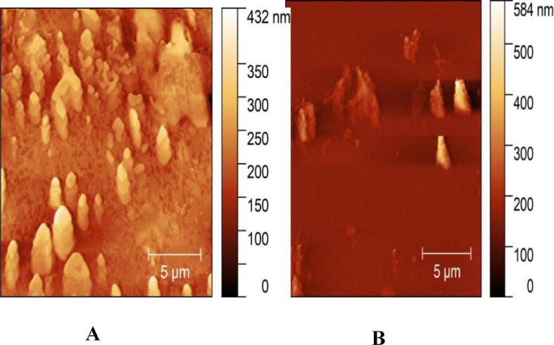 Fig. 8