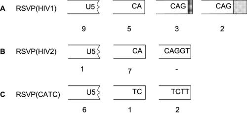 FIG. 3.