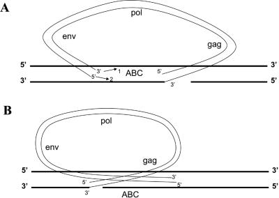 FIG. 7.