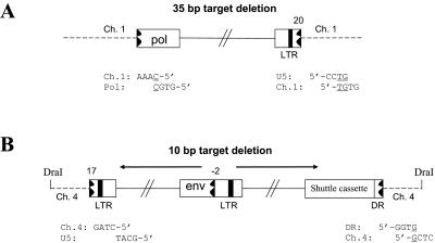 FIG. 6.