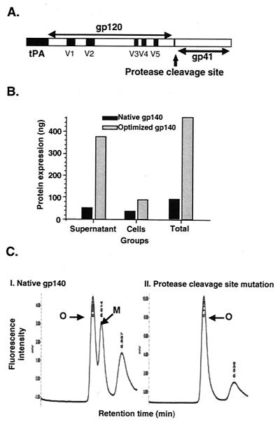 FIG. 1.