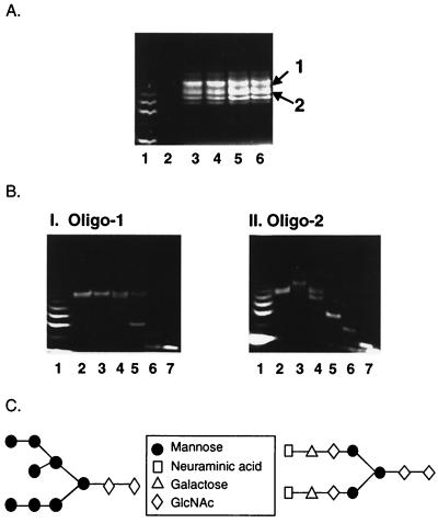 FIG. 6.