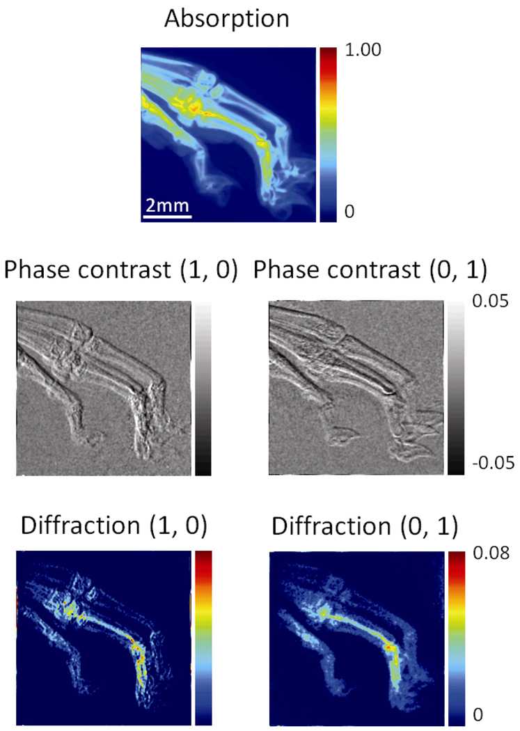 Fig. 4