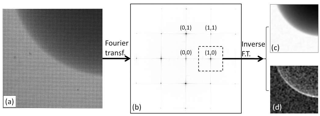 Fig. 2