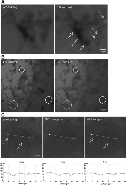 FIG. 4.