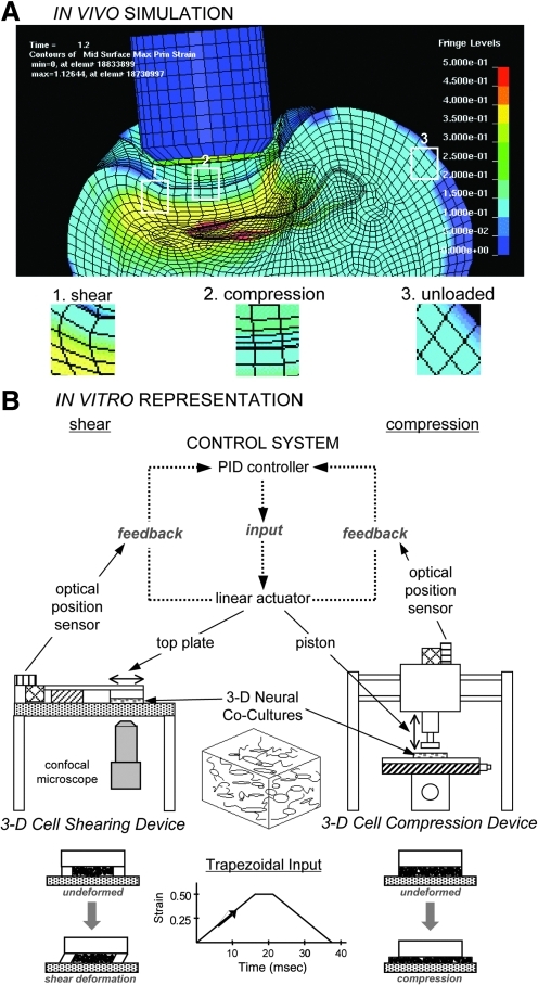 FIG. 1.