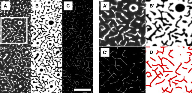 Figure 3.