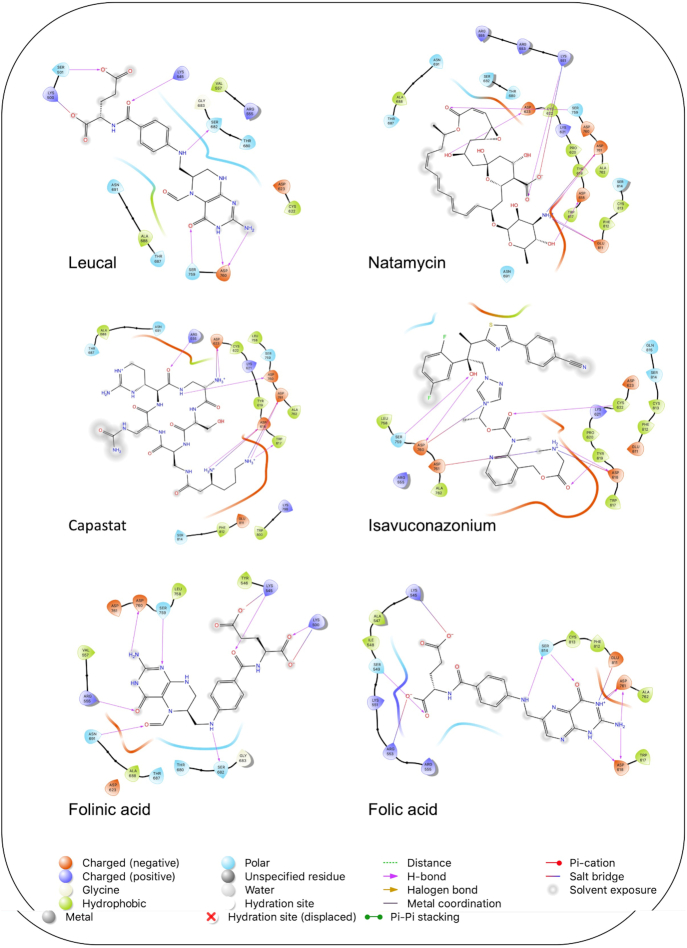 Figure 5.