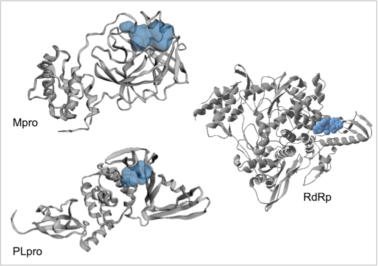 Figure 2.