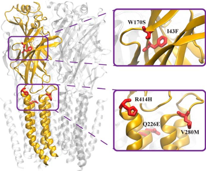 FIGURE 1.