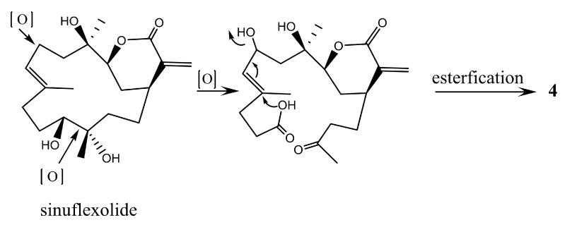 Scheme 2