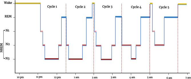 Figure 3