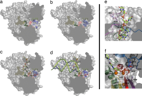 Fig. 4.