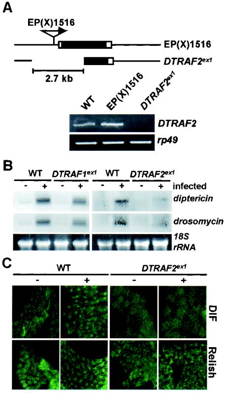 FIG. 9.