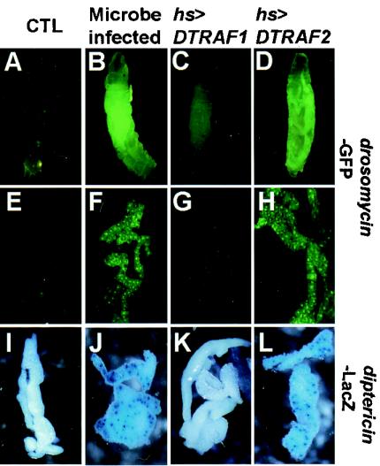 FIG. 7.