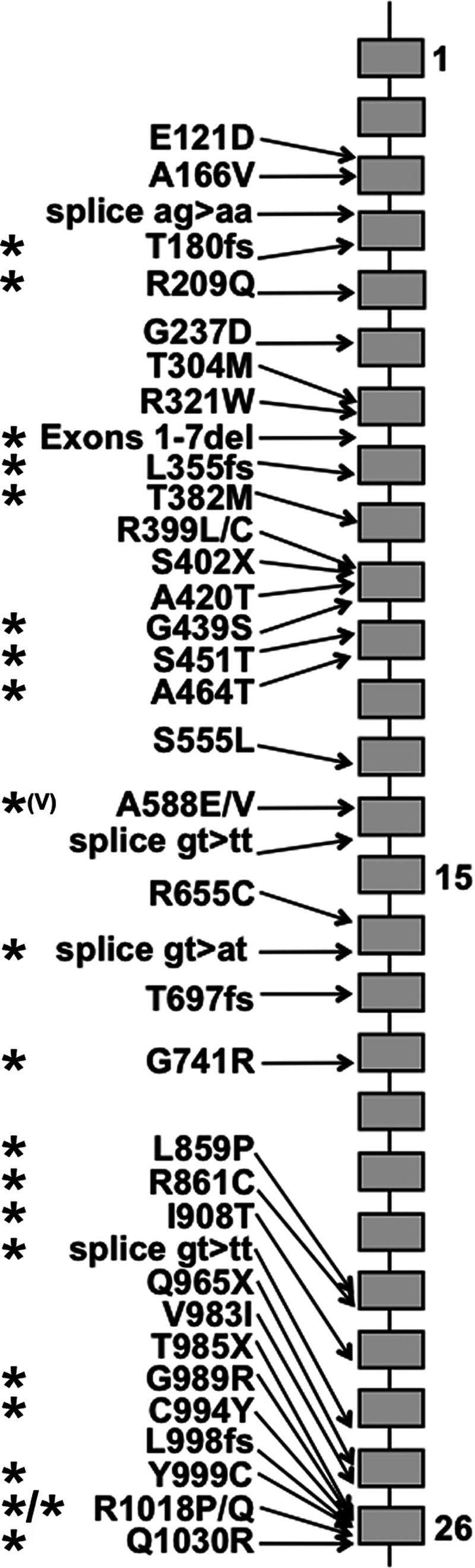 FIGURE 3: