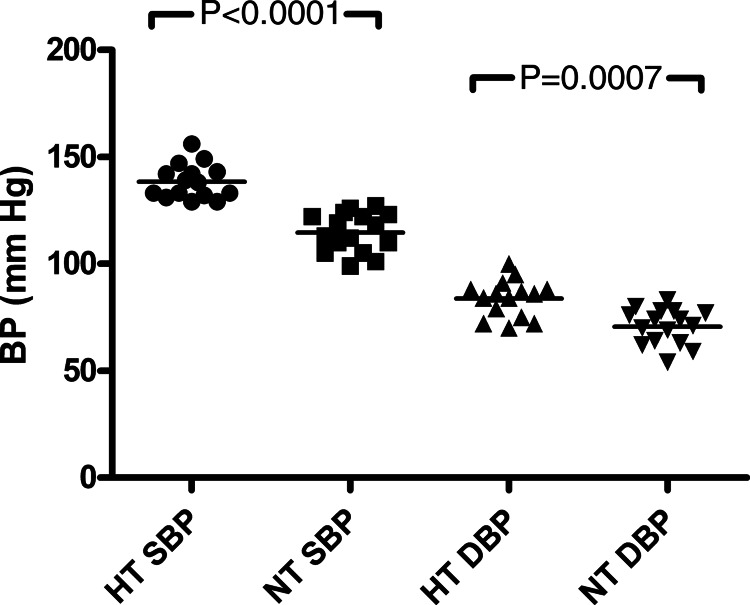 FIGURE 1: