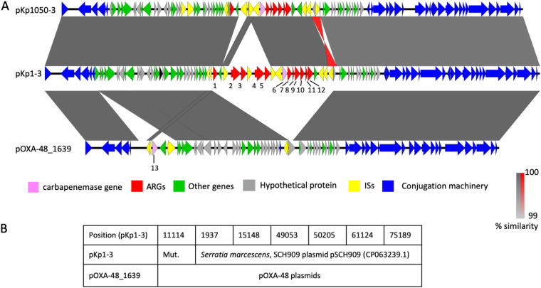 FIG 1