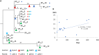FIG 2