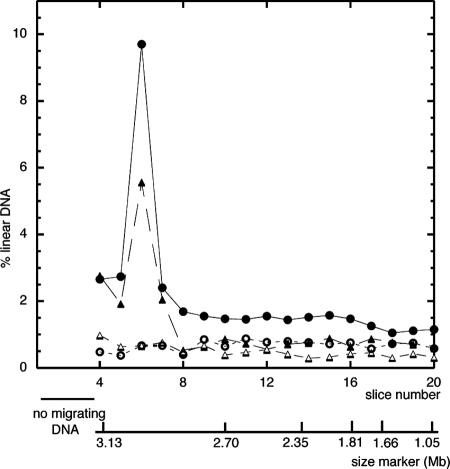 FIG. 2.