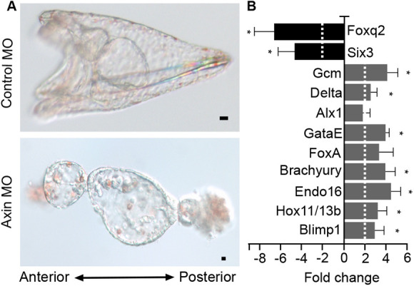 Fig. 3.