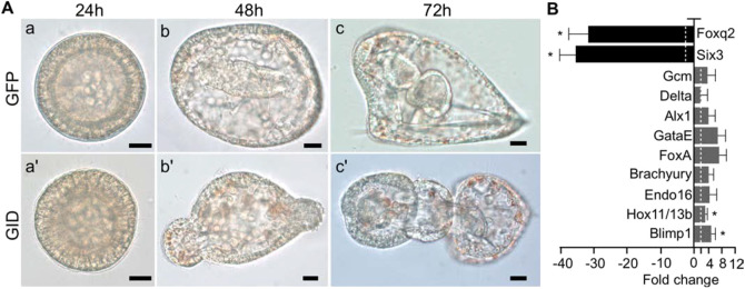 Fig. 9.