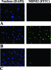 Figure 4-6919