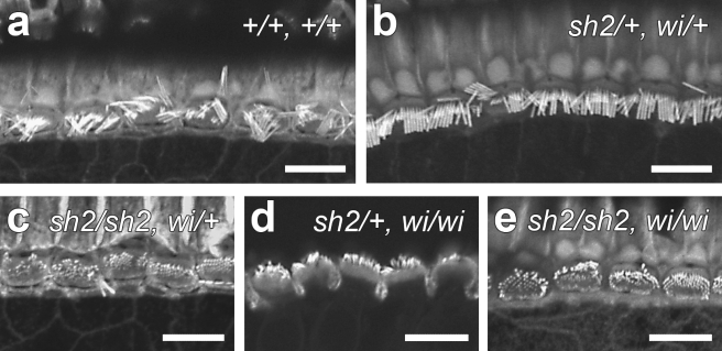 FIG. 4