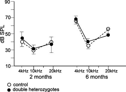 FIG. 1