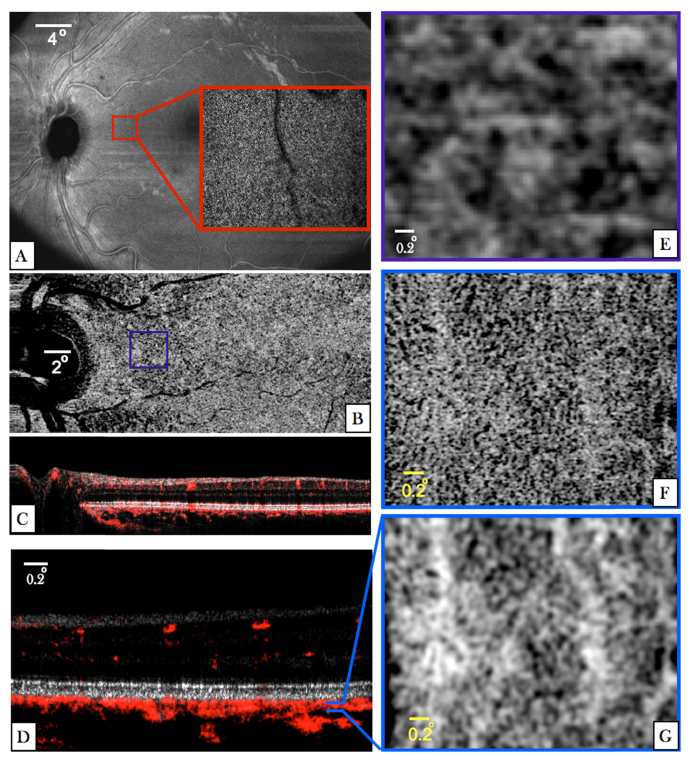 Fig. 8